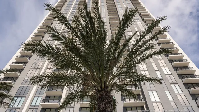 Brightline/Virgin Trains USA completes Park-Line apartments in Miami (Photos) – South Florida Business Journal